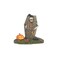Department 56 Department 56 Village Halloween Lighted Accessory Raised From The Dirt #6012282